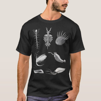 Camiseta Cambrian Creatures Fossil Paleoart Evolution Scien