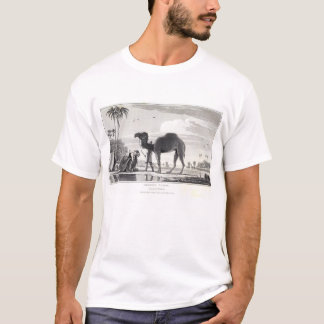 Camiseta Camelo no vintage dos oásis que grava Marrocos