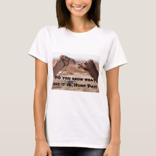 Camiseta Camelos Hump Day