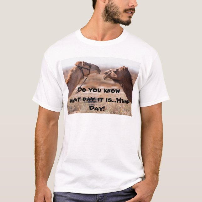 Camiseta Camelos Hump Day (Frente)