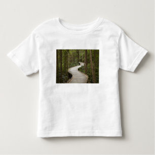 Camiseta Caminho de barco para Nelson Falls, Franklin - Gor