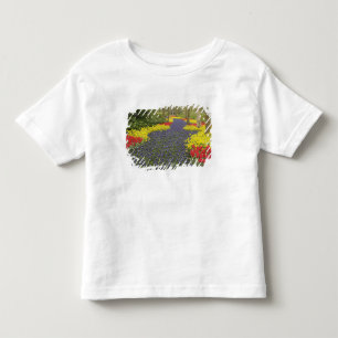 Camiseta Caminho de Jacinto de Uva, narcisos e