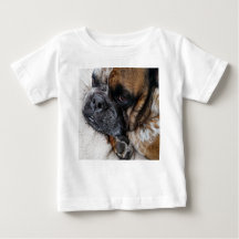 Camisa-Bebê de Foto de Bulldog Vitoriana Custa