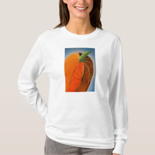 Camiseta Camisa-T de Abóbora Cheia