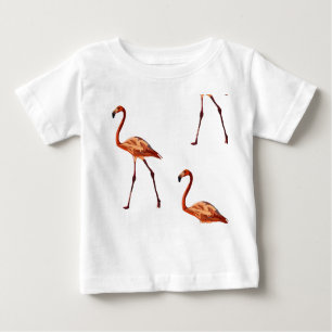 Camiseta Camisa-T Rosa Flamingos Baby Fine Jersey