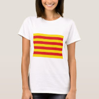 Camiseiros com bandeira da Catalunha