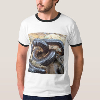 Camiseta Camiseta-do-grupo Satyam
