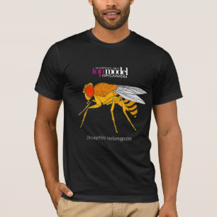 Camiseta Camiseta-mosca-fruta