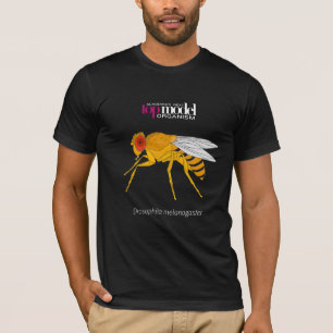 Camiseta Camiseta-mosca-fruta