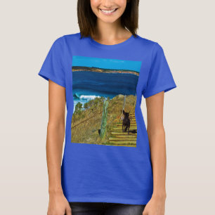 Camiseta Camiseta-Ursinho-Roupa-Vapor-de-Cãozinho-Puppy-Pin