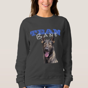 Camiseta Camisola da Equipe de Cinzas feminina Bane (com fo