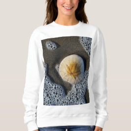 Camiseta Camisola Feminina de Foto da Praia e Dólar de Arei