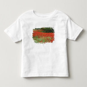 Camiseta Campo de flores de papoula híbrida plantadas ao lo