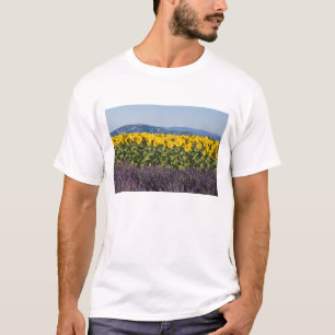 Camiseta Campo de girassóis e flores de lavanda,