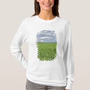 Camiseta Campo de trigo e estrada ladeada por ciprestes maj