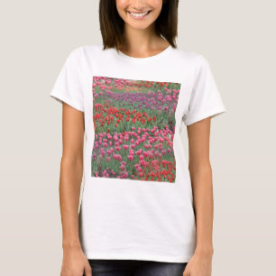 Camiseta Campo De Tulipas