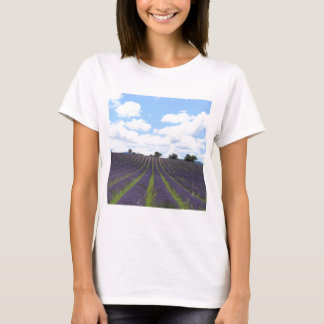Camiseta Campos de lavanda roxa perto de Sault