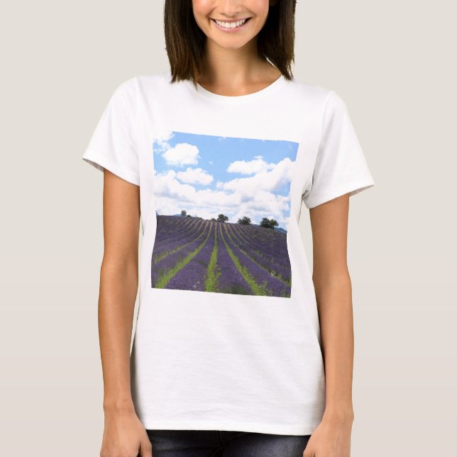 Camiseta Campos de lavanda roxa perto de Sault (Frente)