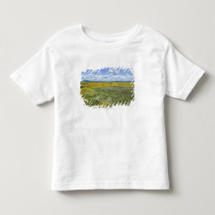 Camiseta Campos na primavera perto de Guadalupe