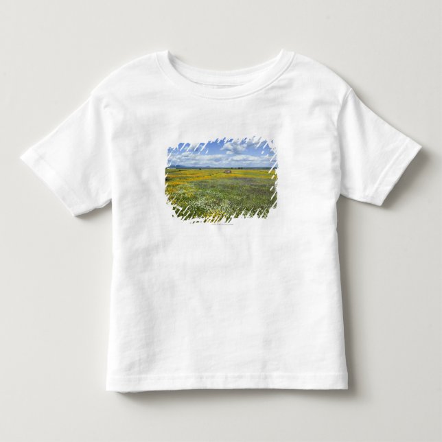 Camiseta Campos na primavera perto de Guadalupe (Frente)