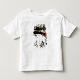 Camiseta Canadá, Alberta, Jasper, Jasper NP. Fairmont 2