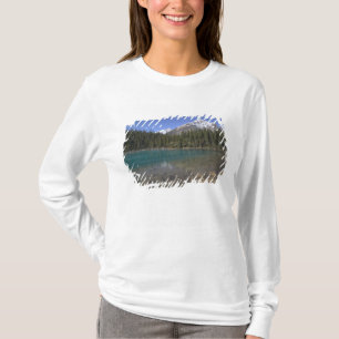 Camiseta Canadá, Alberta, Parque Nacional Jasper: JASPER,