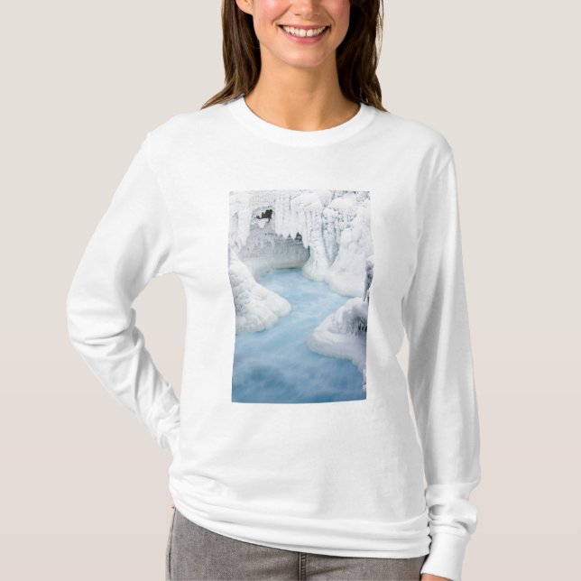 Camiseta Canadá, Alberta, Parque Nacional Jasper. O (Frente)