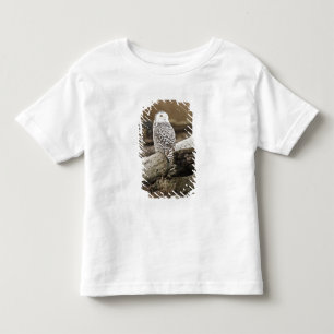 Camiseta Canadá, Baía Boundary, Coruja da Neve