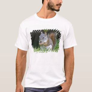 Camiseta Canadá, Colúmbia Britânica, Esquilo Vermelho de Pi