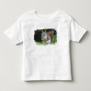 Camiseta Canadá, Colúmbia Britânica, Esquilo Vermelho do Pi