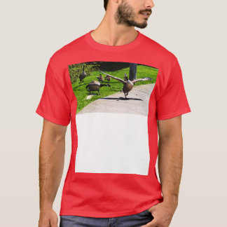 Camiseta Canadá Goose Honrando Outras Asas De Ganso Espalha