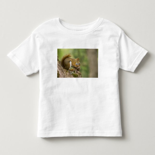 Camiseta Canadá, Nova Escócia, Halifax. Jardins Públicos, (Frente)