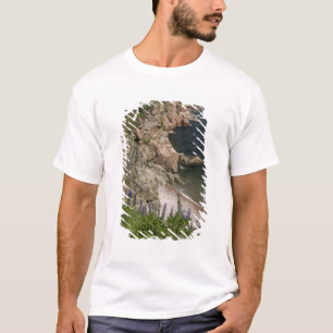 Camiseta Canadá, Nova Escócia, Ilha do Cabo Breton, Cabot 3