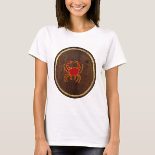 Camiseta Cancer 2009