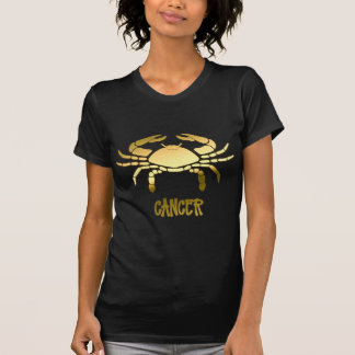 Camiseta Cancer Dourado Astrologia Caranguejo Horoscópio Si