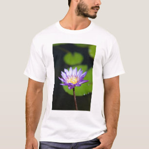 Camiseta Cancun, México