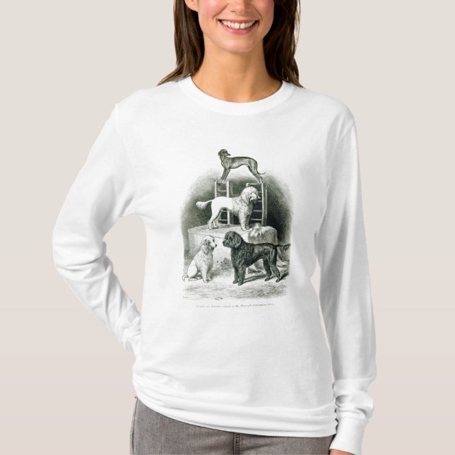 Camiseta Caniches e Whippet - grupo de Sr. Walton (Frente)