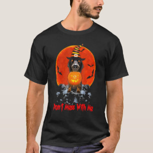 Camiseta Canina De Salsicha Com Uma Lâmpada De Abóbora