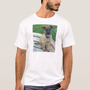 Camiseta Cão belga de Malinois do pastor