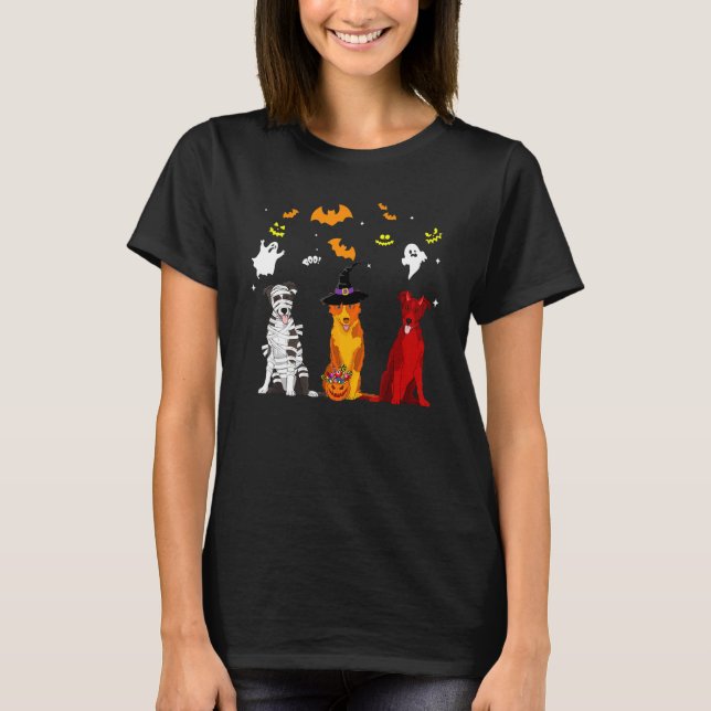 Camiseta Cão Border Collie (Frente)