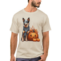 Cão Bovino Australiano ao Lado de uma Abóbora de H