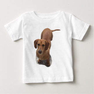 Camiseta Cão-de-cajado-marrom-bonito