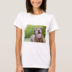 Camiseta Cão de chocolate Labrador