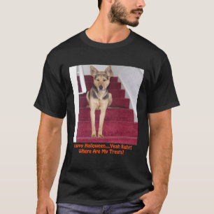 Camiseta Cão de Halloween e Sem Tratamentos