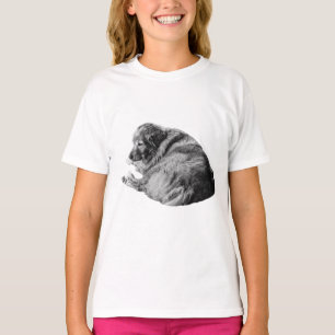 Camiseta Cão de Inverno Tranquilo Compartilha Conforto em S
