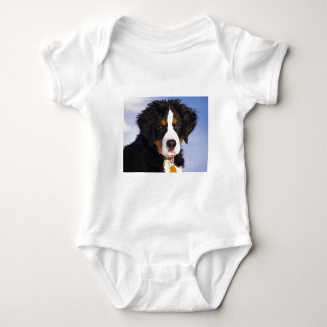 Camiseta Cão-de-montanha Boné Bernês (Frente)