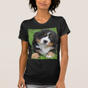 Camiseta Cão de montanha de Bernese