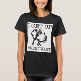 Camiseta Cão do Ponteiro Inglês