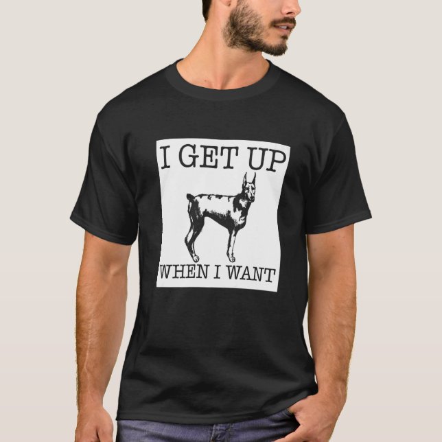 Camiseta Cão Doberman Pinscher (Frente)