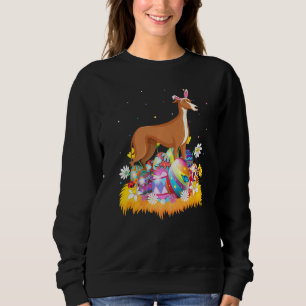 Camiseta Cão Galgo Ovo de Páscoa Domingo de Páscoa